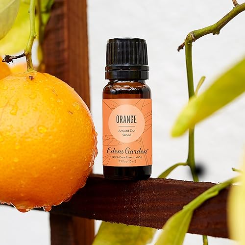 Miniatura 2 de Edens Garden Aceite esencial de naranja "Around The World", 100% puro grado terapéutico (aceite esencial aromático natural sin diluirhomeopático