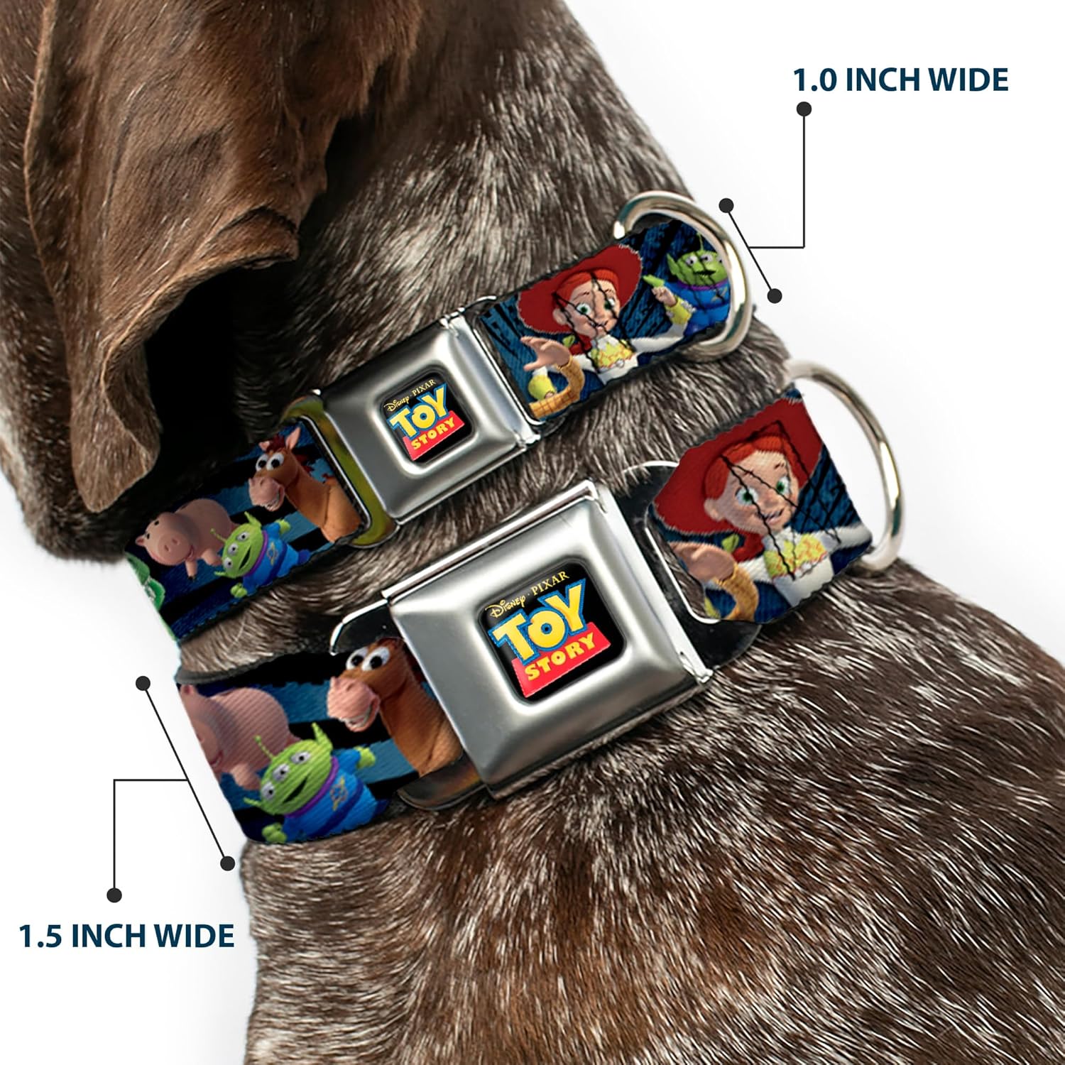 Dog Collar Seatbelt Buckle Toy Story Characters Running2 Denim Rays 15 to 26 Inches 1.0 Inch Wide