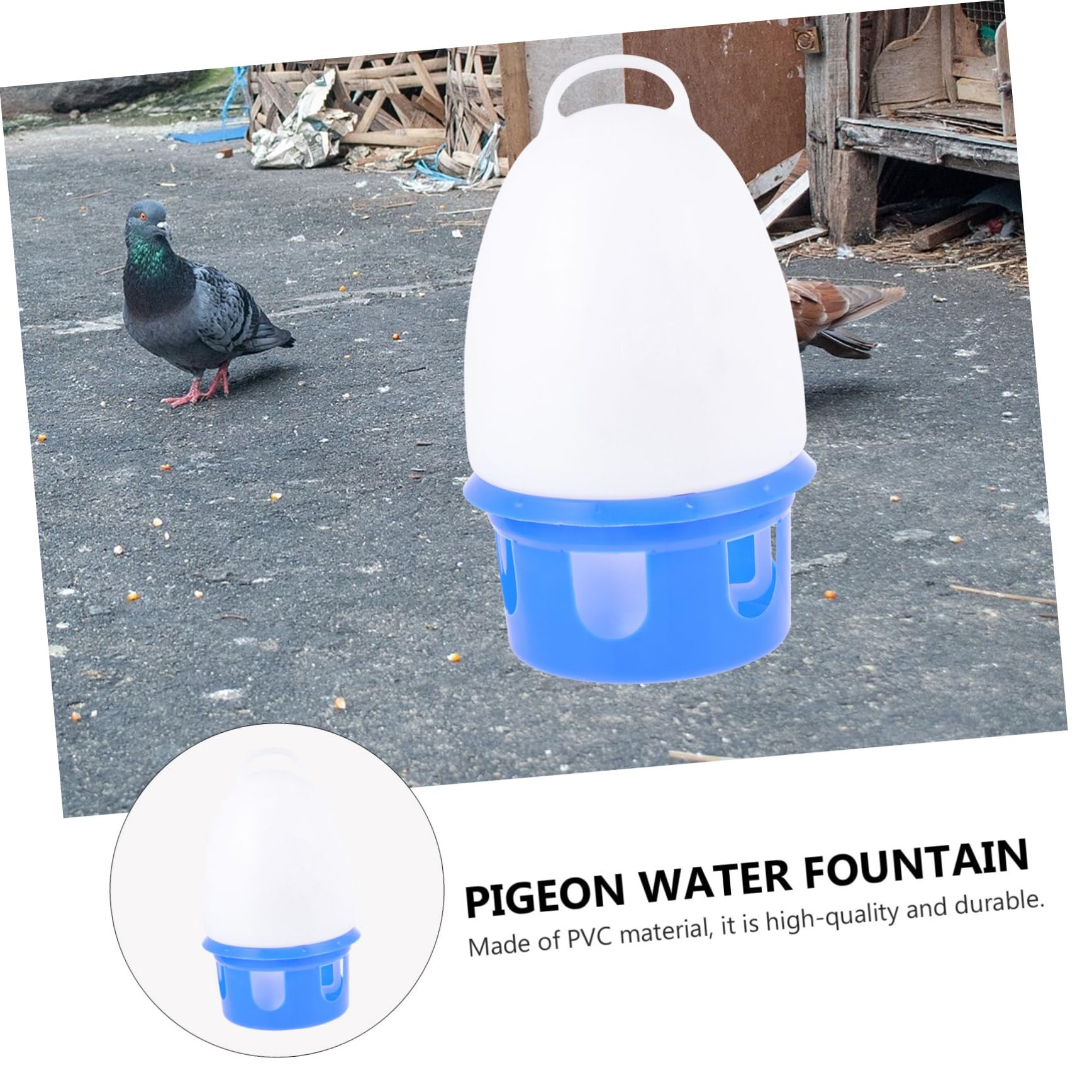 Abreuvoir pour Pigeons Bleu en PVC avec Échelle, Détachable