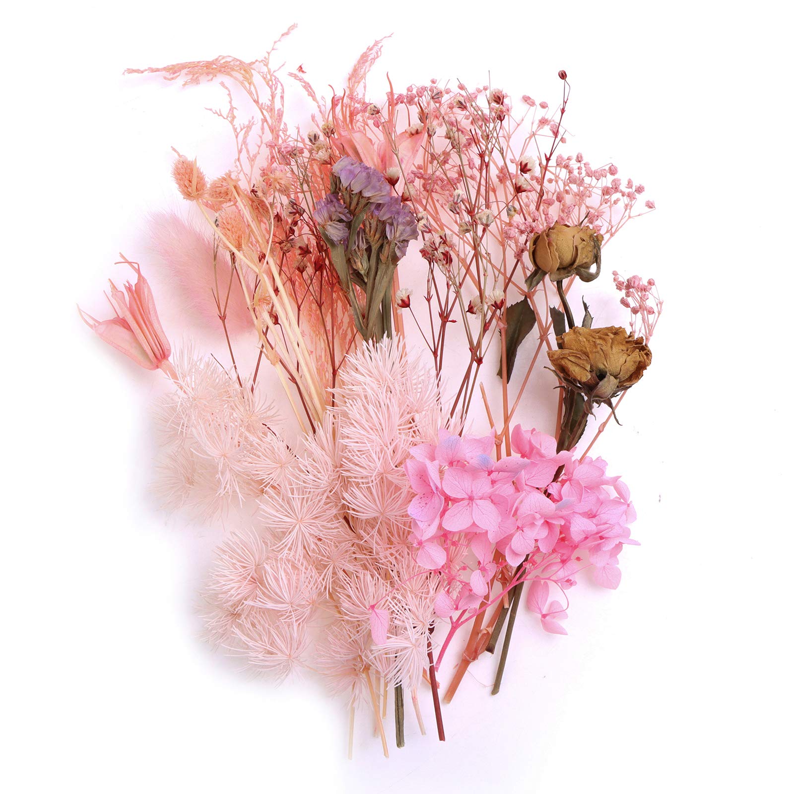 20pcs Real Natural Dried Pressed Flowers Mixed Multiple Colorful Dried Flowers Leaves Petals Daisies Leaves Hydrangeas for DIY Candle Resin Jewelry Nail Pendant Crafts Making (style1)
