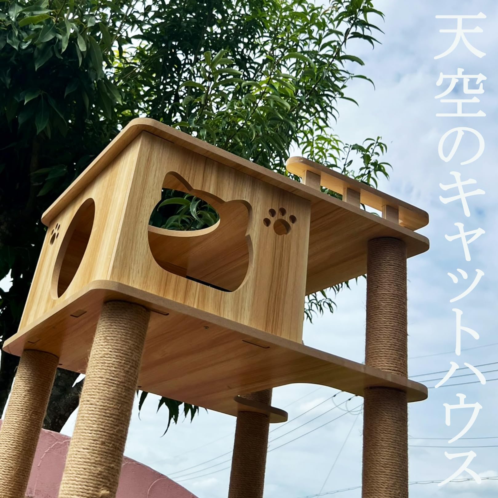 Amazon | 猫家族 天空のキャットハウス キャットタワー 木製 多頭飼い 