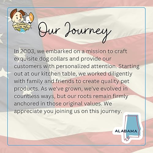 Miniatura 8 de Country Brook Petz  Collar de nailon premium con hebilla de metal para perro para razas pequeñas, medianas y grandes  Más de 10 colores geniales