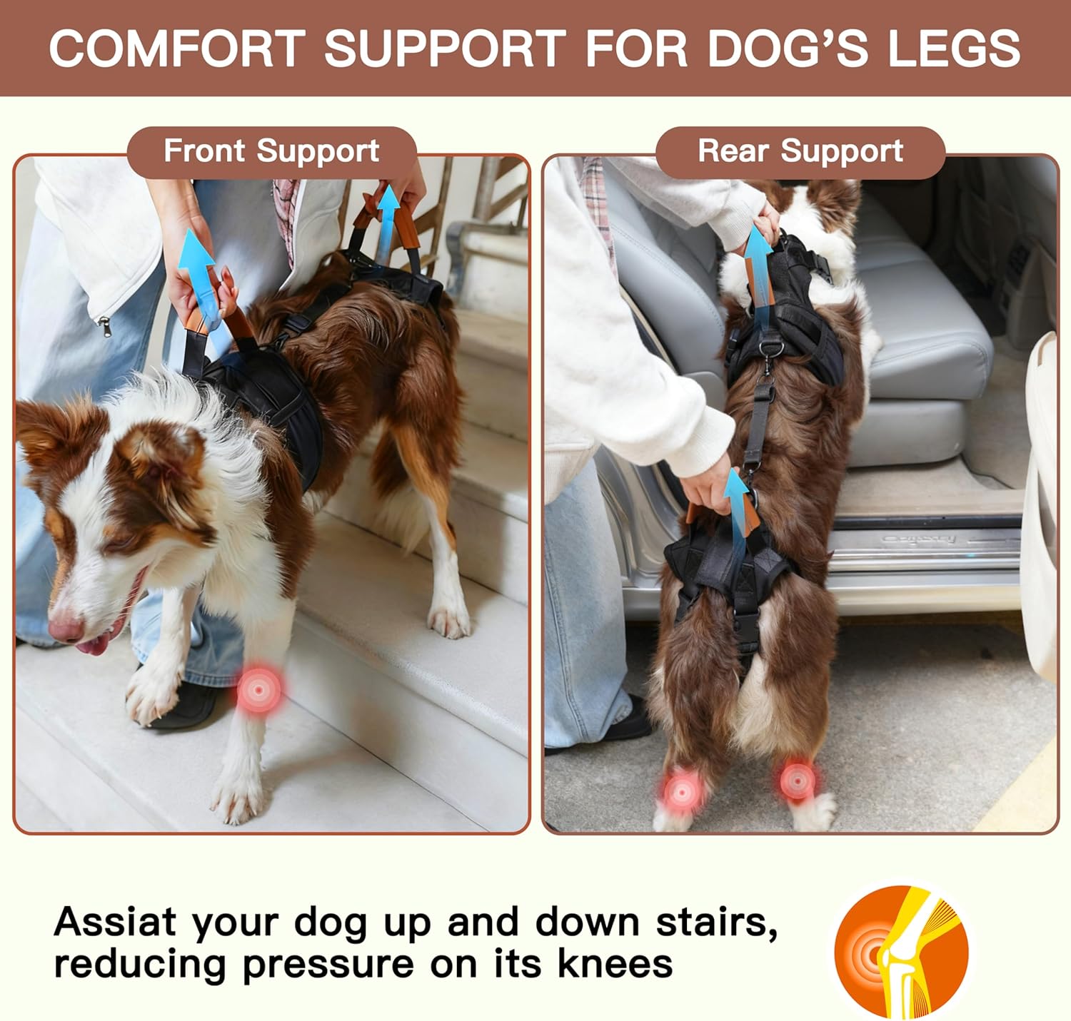 Dog Lift Harness, Full Body Dog Harness with Handle for Lifting, Front/Back Leg Support, Prevent Chafing Pee-Able Design, 2-in-1 Detachable Dog Assist Harness for Senior Disabled Dogs Up to 40lb (M)