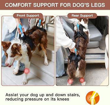 Dog Lift Harness, Full Body Dog Harness with Handle for Lifting, Front/Back Leg Support, Prevent Chafing Pee-Able Design, 2-in-1 Detachable Dog Assist Harness for Senior Disabled Dogs Up to 55lb (L)