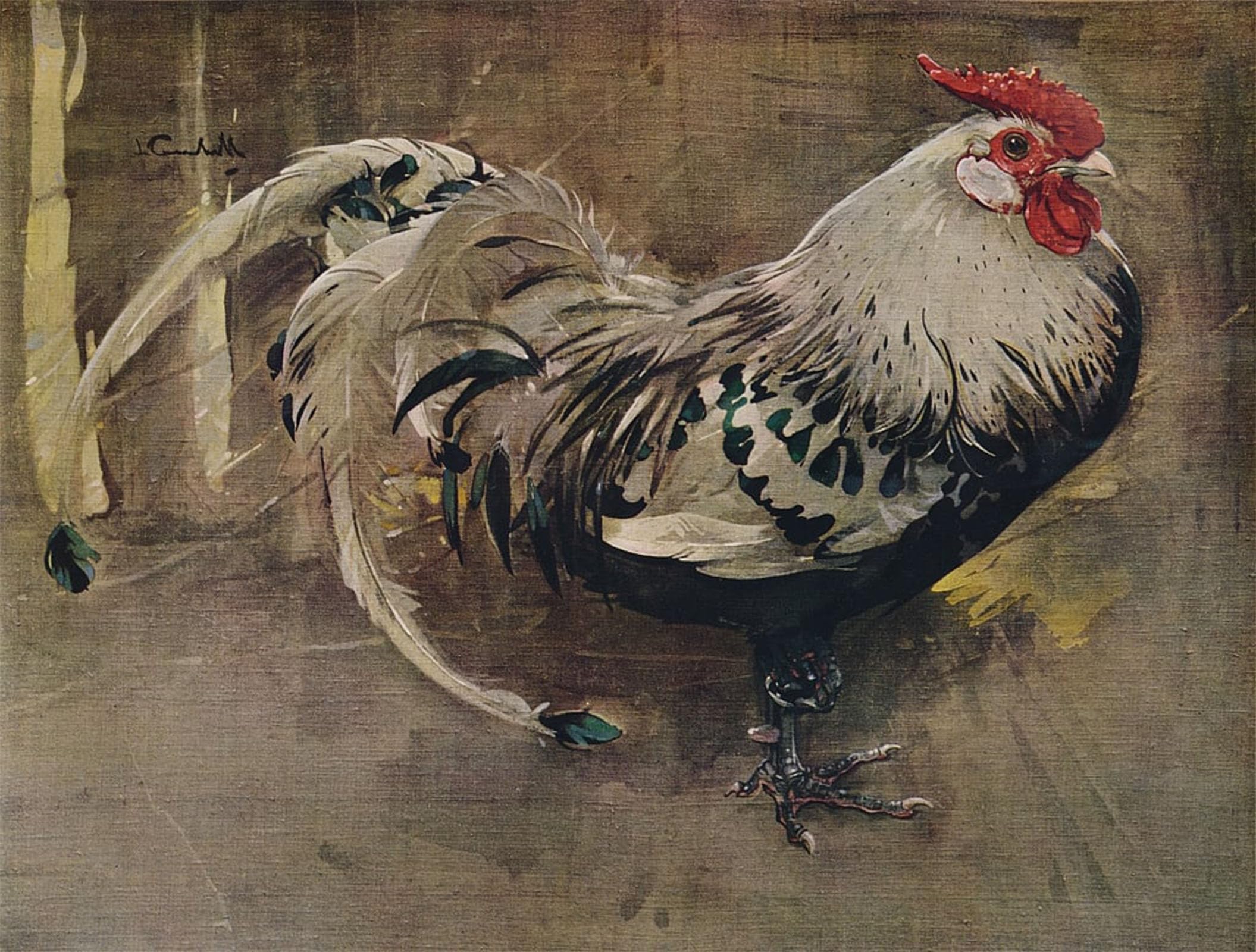 SERENDIPITP Retro Picture Poster Wall Art Pictures Painting the Spangled Cock by Crawhall Wall Art Canvas Print for Wall Decor 60x90cm