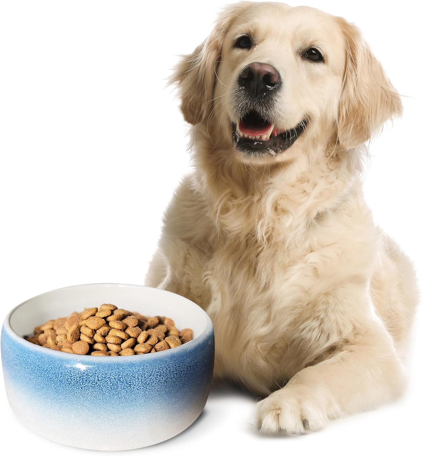 Byer of Maine Pet Bowl – High-Fired Porcelain Stoneware, Food-Grade Safe, Dishwasher Safe, Non-Slip Dog Bowl for Large Breeds in Best Friend Blue
