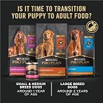 Pro Plan Dry Puppy Food, Development, Chicken & Rice 15.4 kg