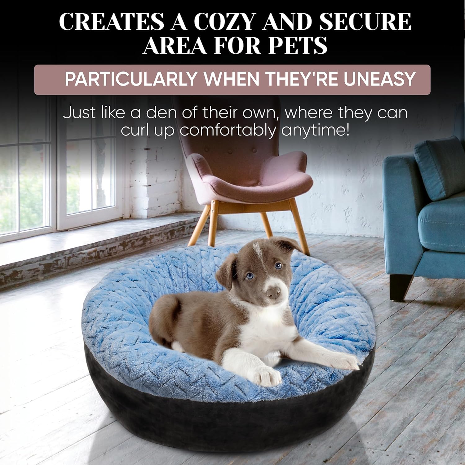review Small Pet Bed, Donut-Shaped, 20'' Sky Blue, Hypoallergenic, Machine Washable, Non-Slip Bottom, 25 lbs Weight Capacity