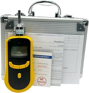 Handheld Chlorine Dioxide Gas Detector CLO2 Gas Detectors with LCD Display Measuring Range 0 to 20ppm Resolution 0.01ppm Explosion-Proof Certification CPA Certificate USB Interface