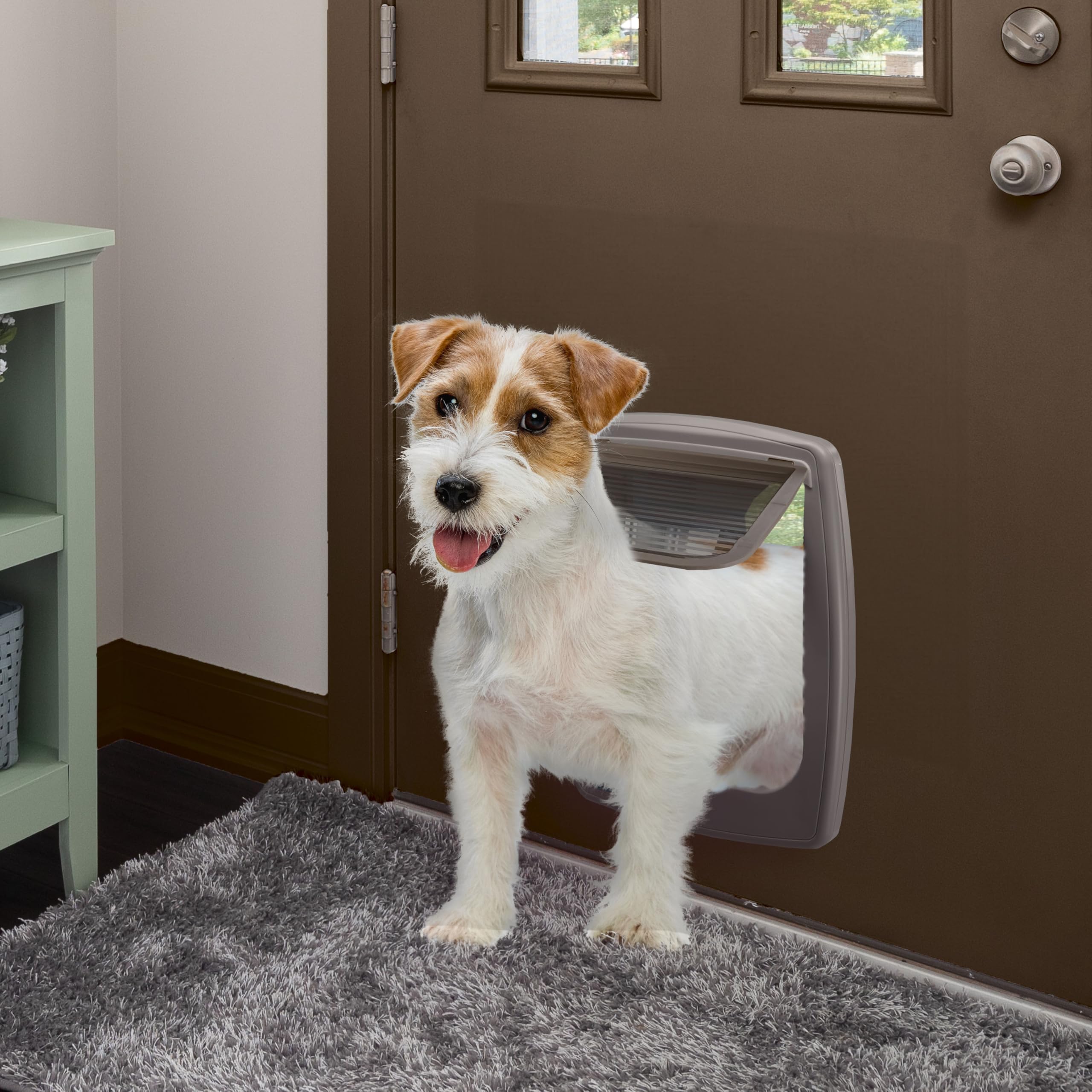Ferplast Gattaiola, Porta per Cani Taglia Media, Entrata e uscita controllabile 4 vie, Protezione da Correnti d'Aria, Taglia Media, Porticina per Cani, Marrone