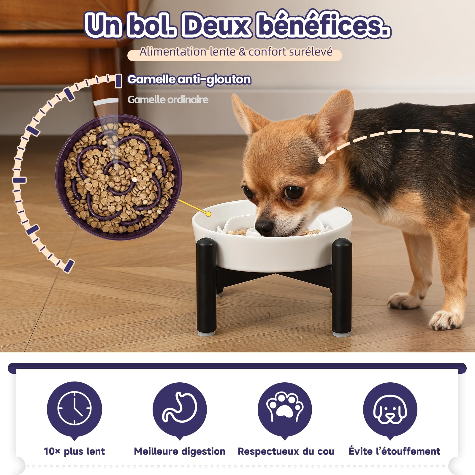 Gamelle pour Chien Surélevée Anti-Glouton - Bol Labyrinthe en Céramique avec Support Antidérapant en Acier Inoxydable - Gamelle pour Petit Chien - Haut 10 cm - Vert