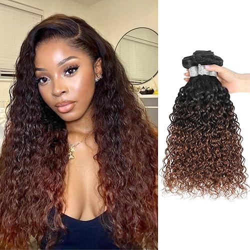 ALHER Ombre Dark Brown Water Wave 3 Bundles Human Hair,