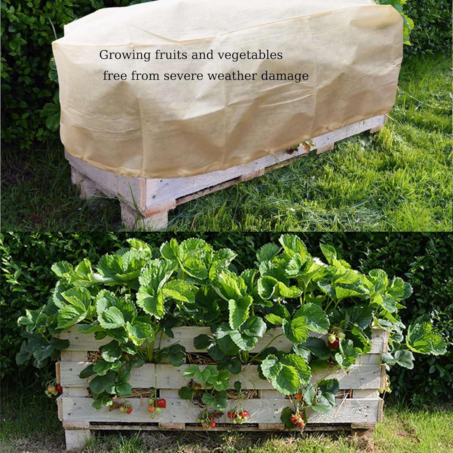 Protège-Pot Rectangulaire Protège les Plantes sur le Balcon, L'Appui de Fenêtre et les Jardinières de Patio Contre le Gel et le Vent 2 Pièces Cloche de Protection pour Plantes Réutilisable