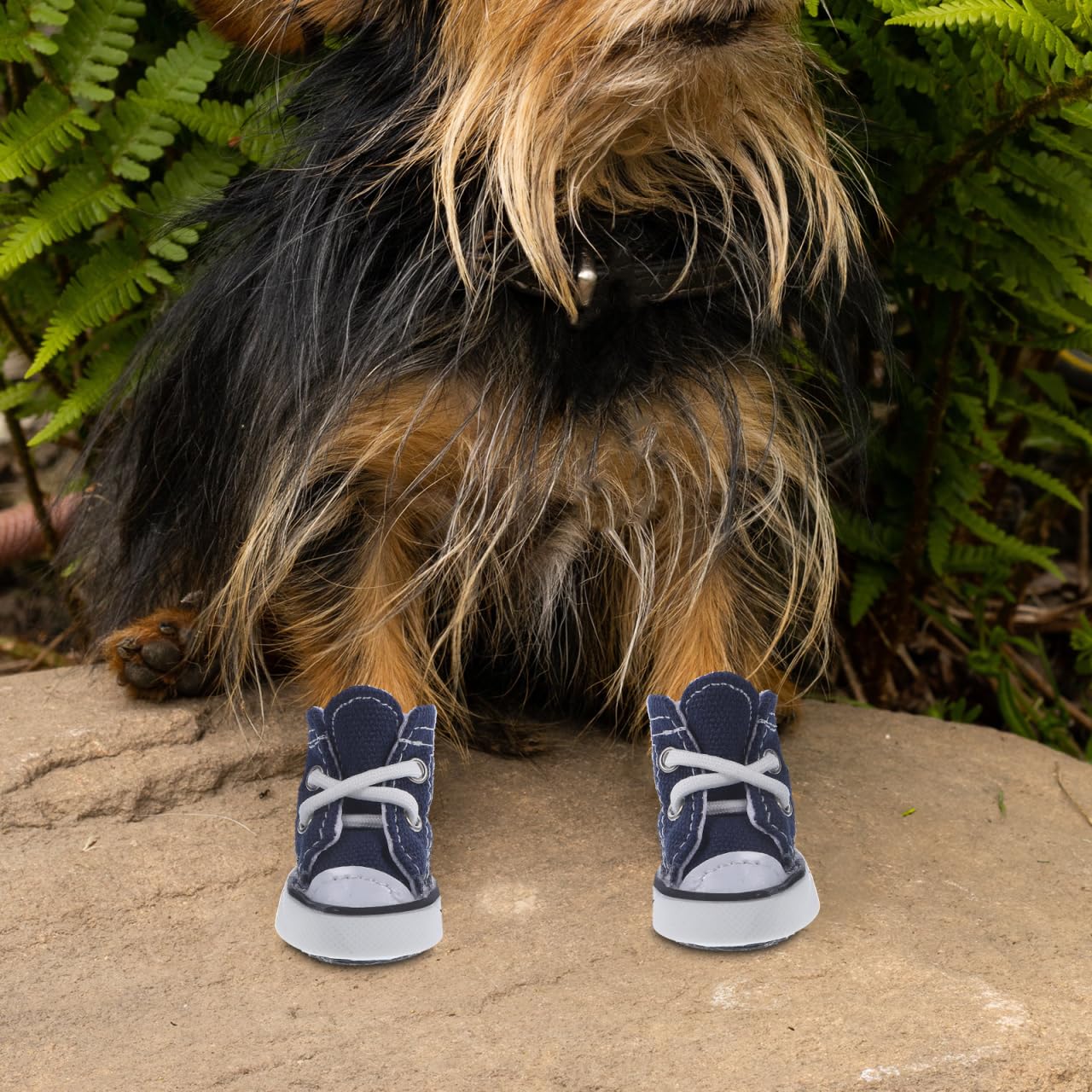 SUPVOX Lot de 4 chaussures décontractées à lacets pour chien de petite taille XS