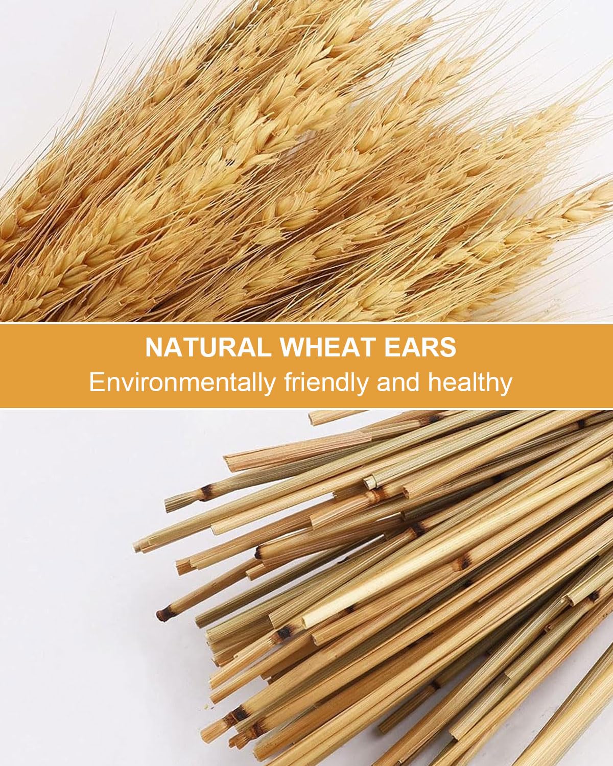 50 pezzi Decorazioni naturali di erba di grano, erba di grano nativa, fiori di erba di grano essiccati, bouquet da sposa, decorazioni per la casa con fiori bohémien