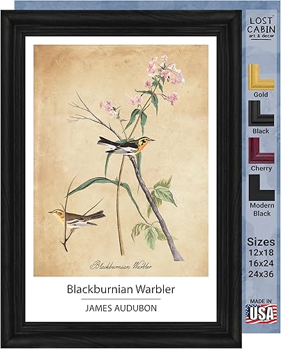 Vista 46 de Towee Bunting by James Audubon - Marco biselado negro de 12 x 16 pulgadas, decoración artística enmarcada para pared, reproducción de pinturas