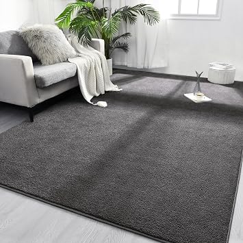 FlyDOIT Area Rugs for Bedroom Living Room, 6x9 Dark Grey Super Soft Comfy Thickened Memory-Foam Indoor Carpets, Modern Aesthetic Minimalist Carpet for Boys Girls Adults Apartment Nursery Home Decor