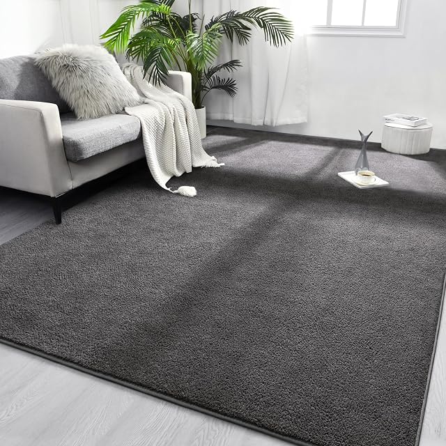 FlyDOIT Area Rugs for Bedroom Living Room 6x9 Dark Grey Super Soft Comfy Thickened Memory-Foam Indoor Carpets Modern