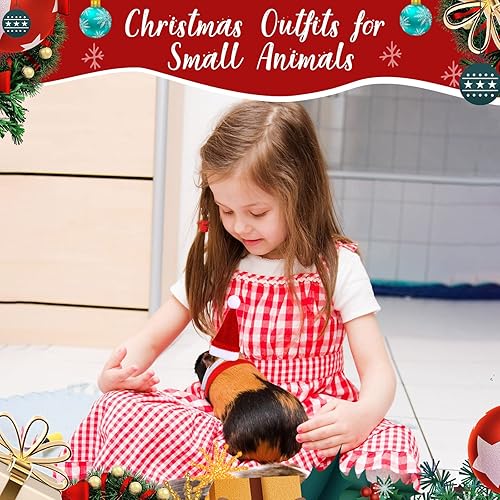 Miniatura 5 de 12 piezas de disfraces de Navidad de conejillo de indias de Navidad de animales pequeños, disfraz de Navidad, mini sombrero de Papá Noel, bufanda,