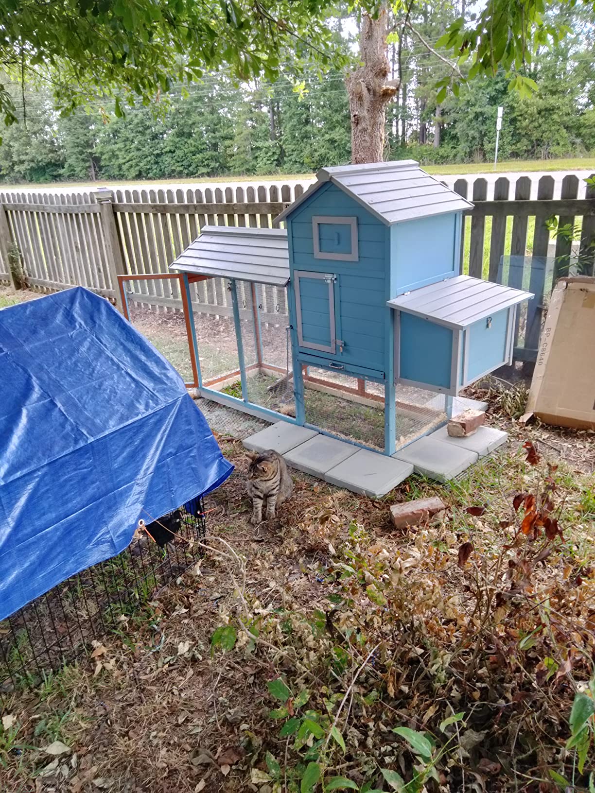 40/mo Finance Best Choice Products 80in Outdoor Wooden Chicken Coop