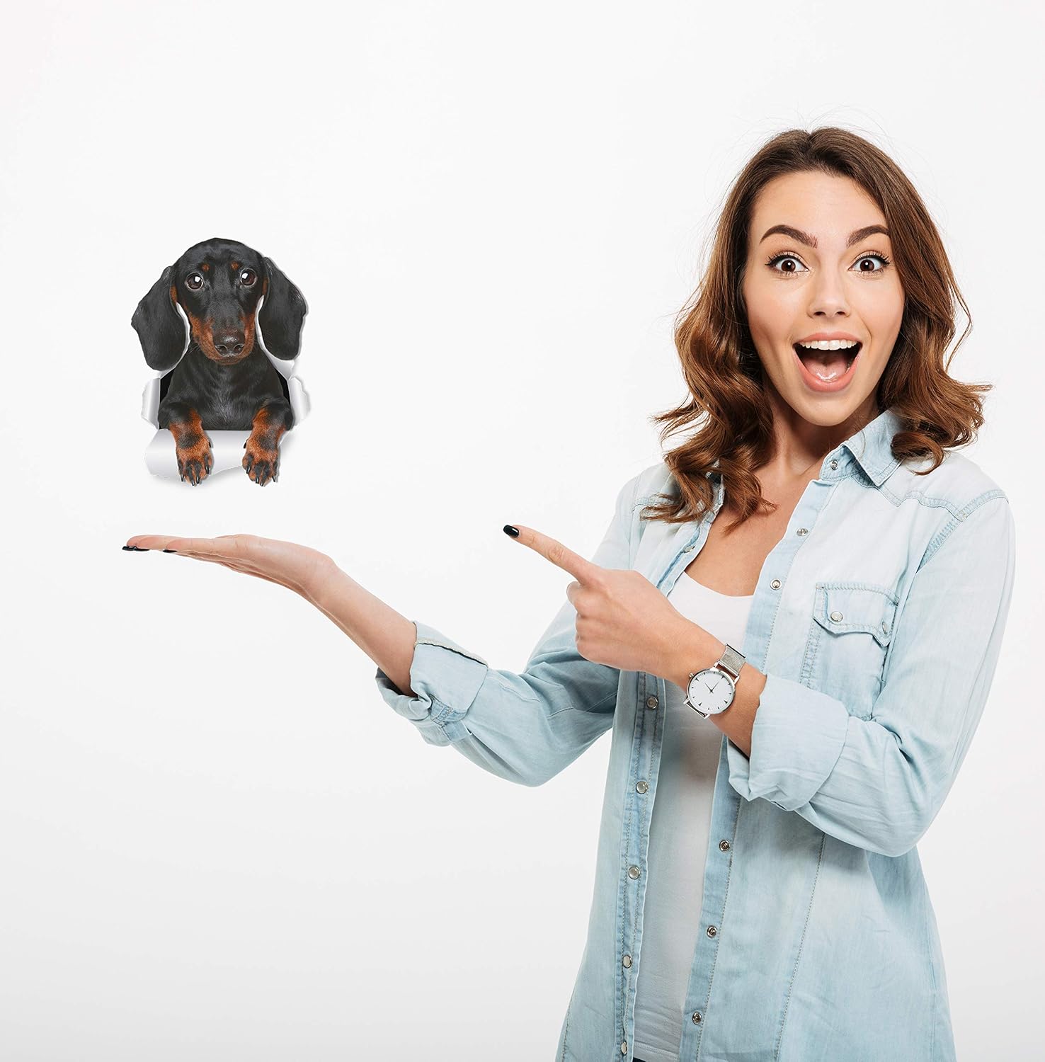 Winston & Bear Cute Dachshund Sausage Dog Wall Decals - 2 Pack - Wiener Dog Toilet Sticker – 3D Dog Car Window and Bumper Sticker - Retail Packaged Dachshund Lover Gifts
