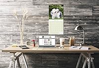 Vista 598 de Razas de Perros 2017