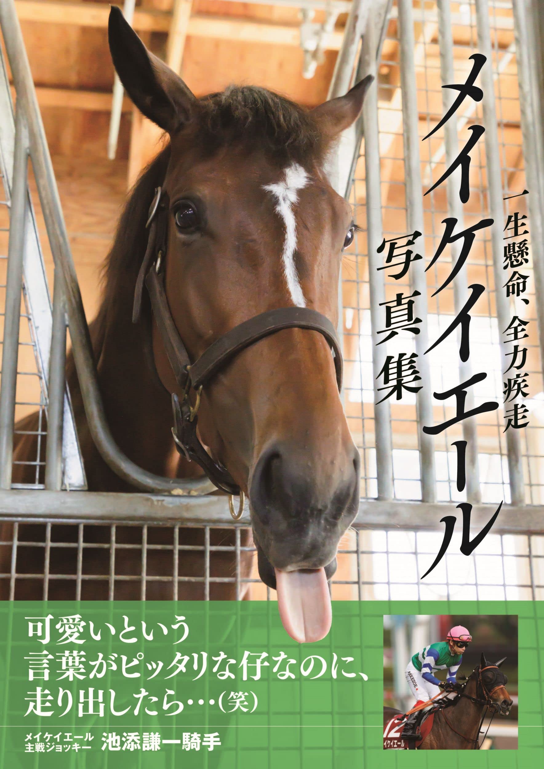 メイケイエール写真集 一生懸命、全力疾走 | ガイドワークス |本