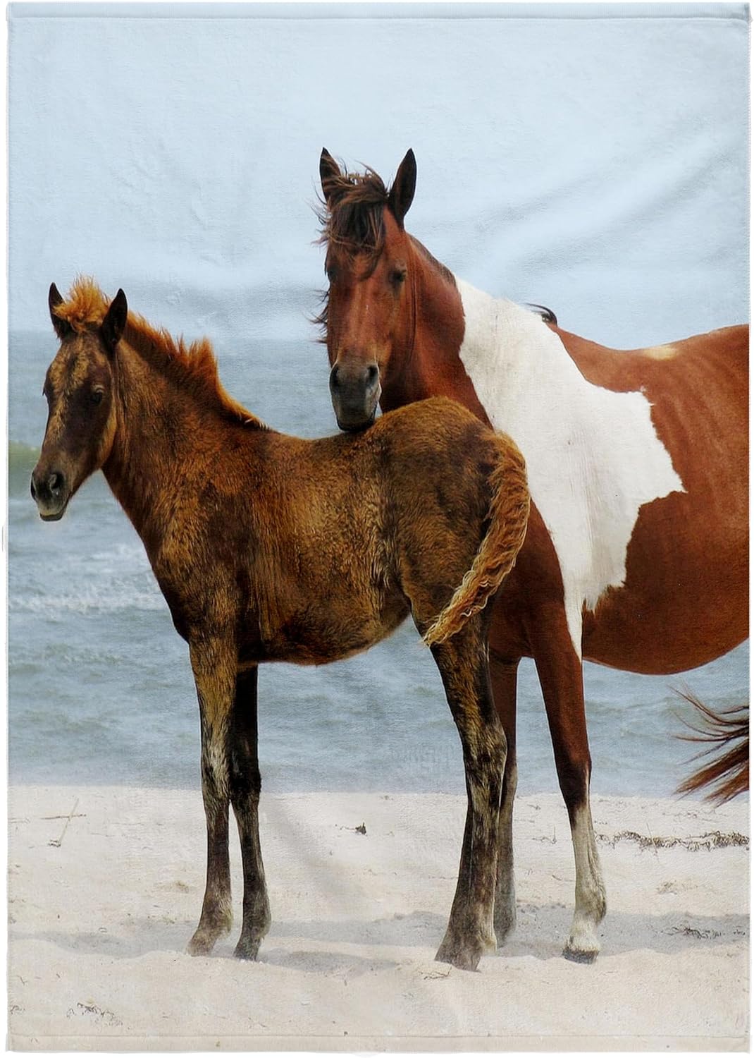 3dRose Wild Horses. Beach. 22x30 Bath Hand Pool Towel