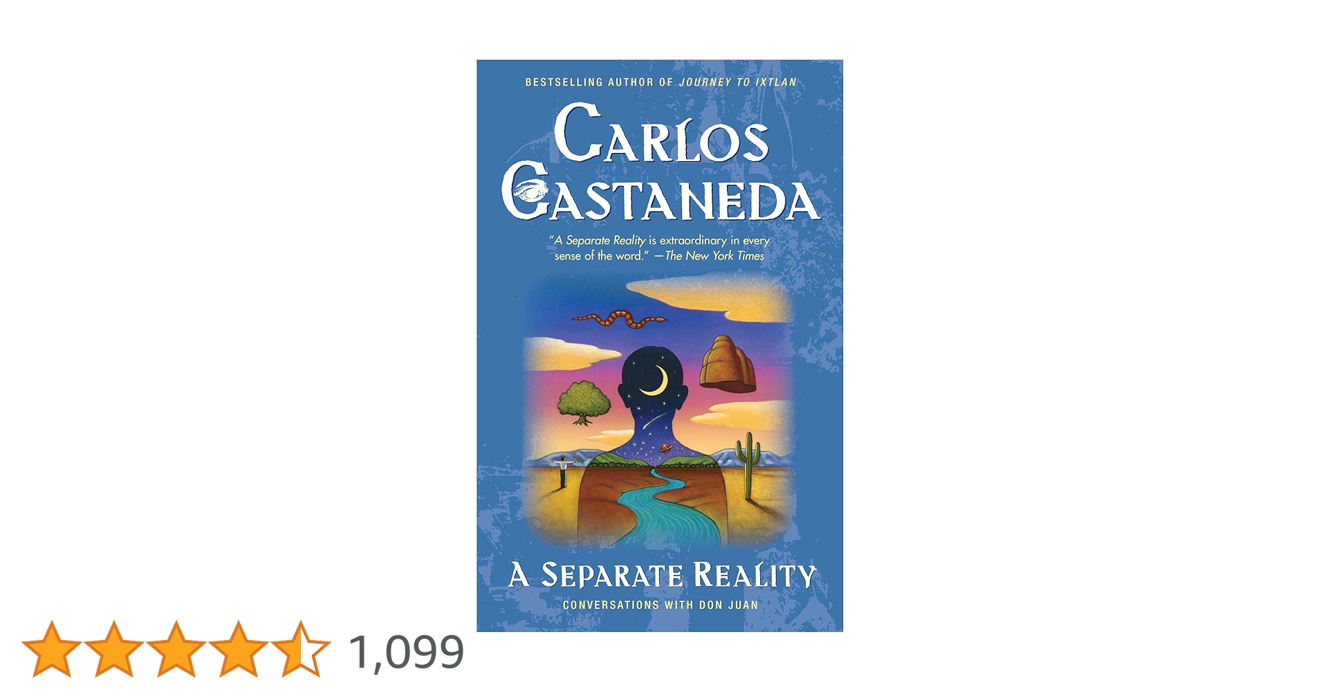 洋書　A Separate Reality Carlos Castaneda Separate Reality (Volume 2): Castaneda, Carlos