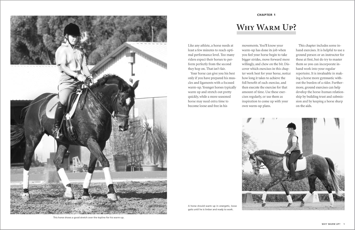101 Dressage Exercises for Horse & Rider (Read & Ride)