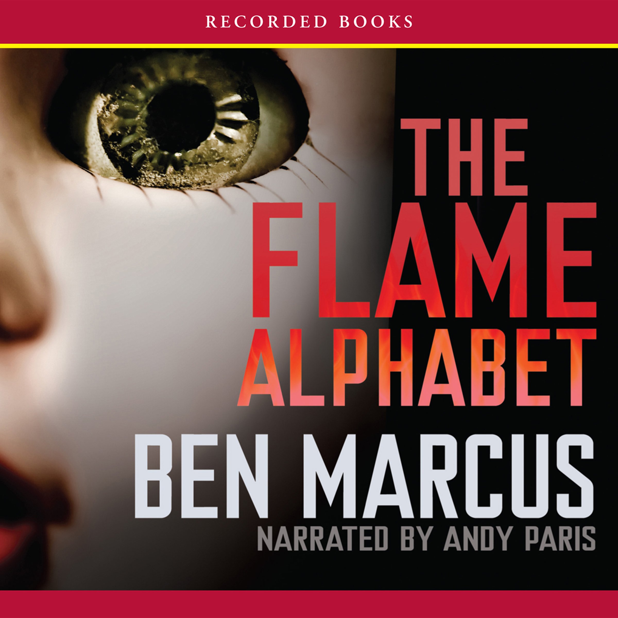 Cover art for The Flame Alphabet