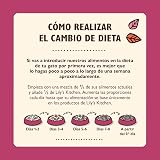 Ver la foto 6