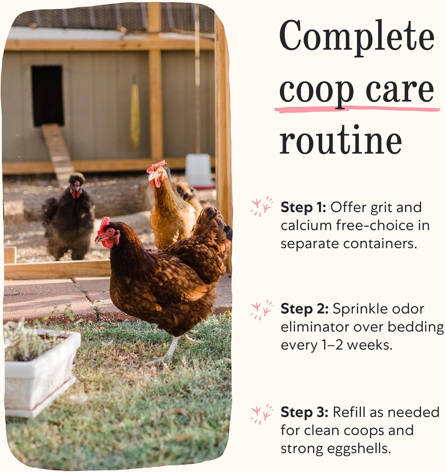 Grubbly Farms Coop Necessities Bundle - Chicken Grit, Layer Calcium & Coop Conditioner - Proper Digestion, Strong Eggshells & Odor Control - Rose Quartz Grit, Aragonite Calcium, Deodorizer - 3 Pack