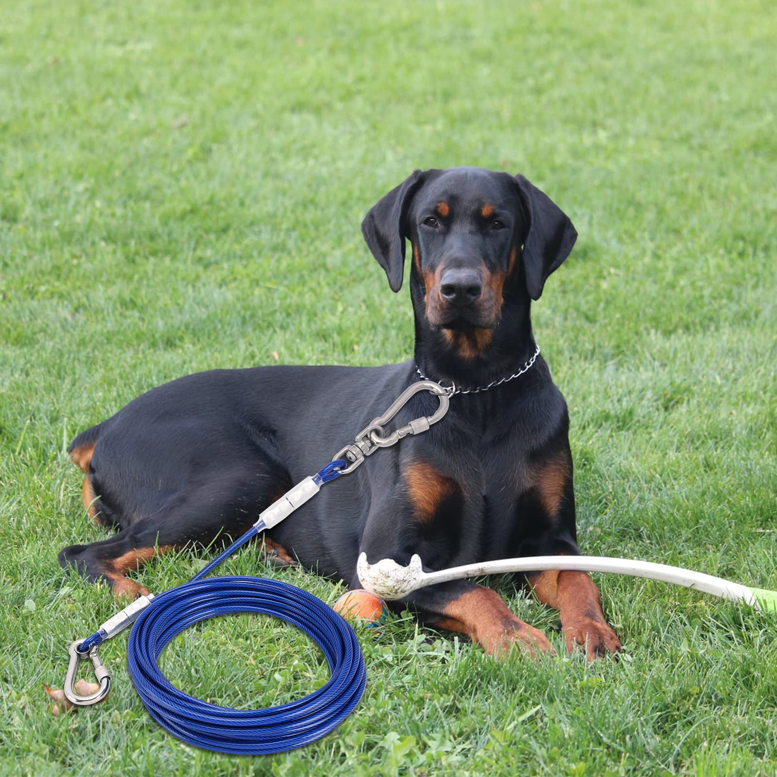 Tie-Out guinzaglio per cani, 3/6/9/15 m, per il cortile, guinzaglio per cani (blu, 9 m