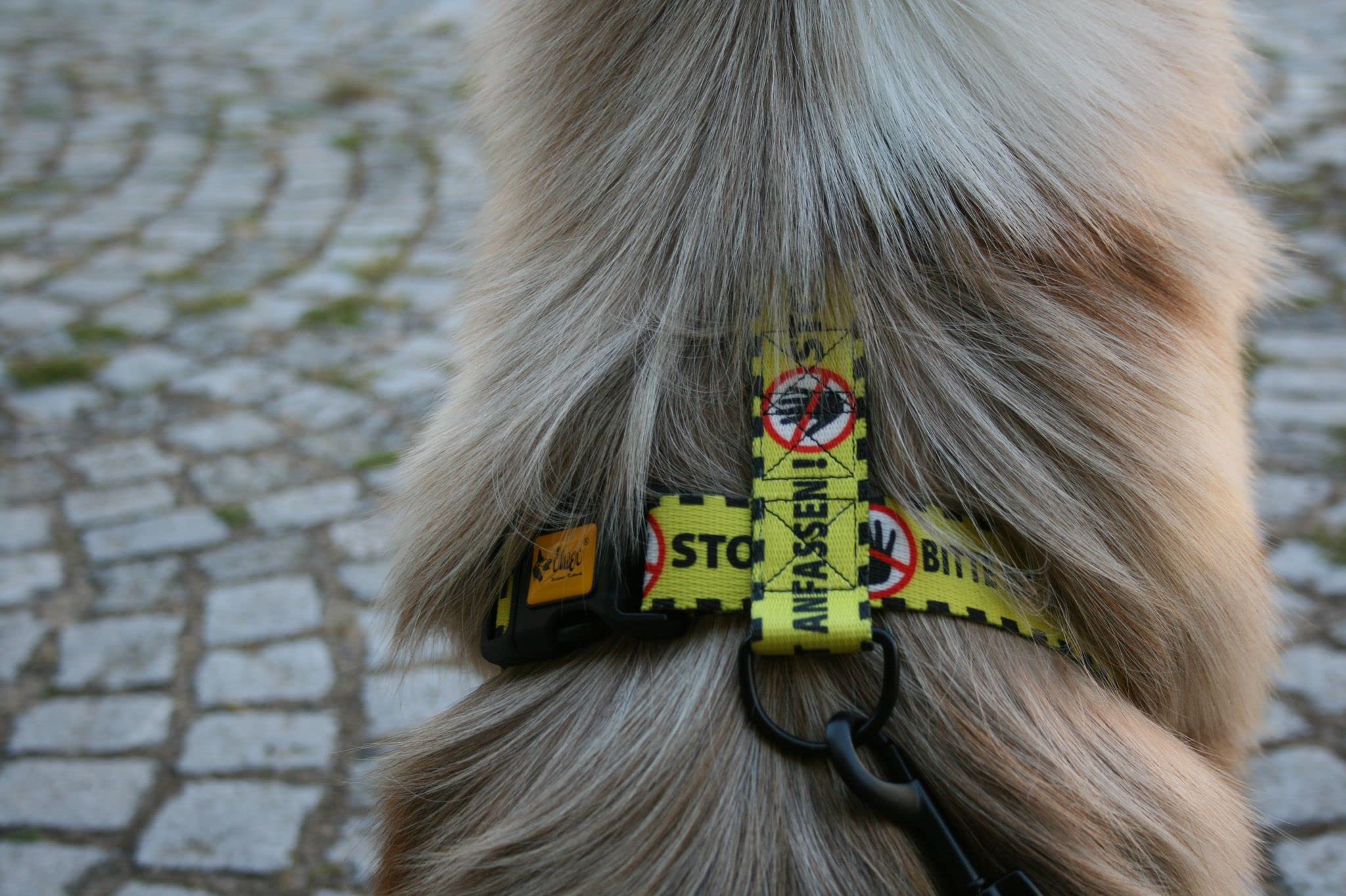Dingo 95382 - Arnés para perros (4,0 cm, 55-100 cm), color amarillo