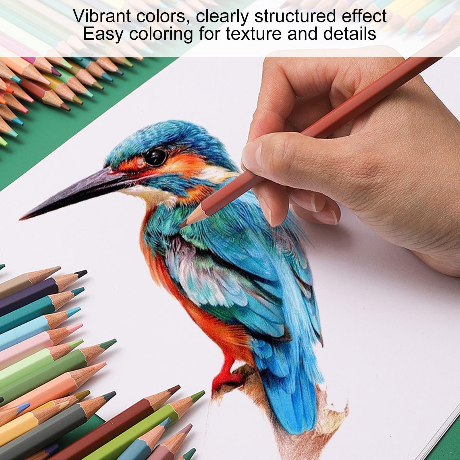Amazon | 24本色鉛筆、アーティスト品質の色鉛筆、削り済みの鮮やかな