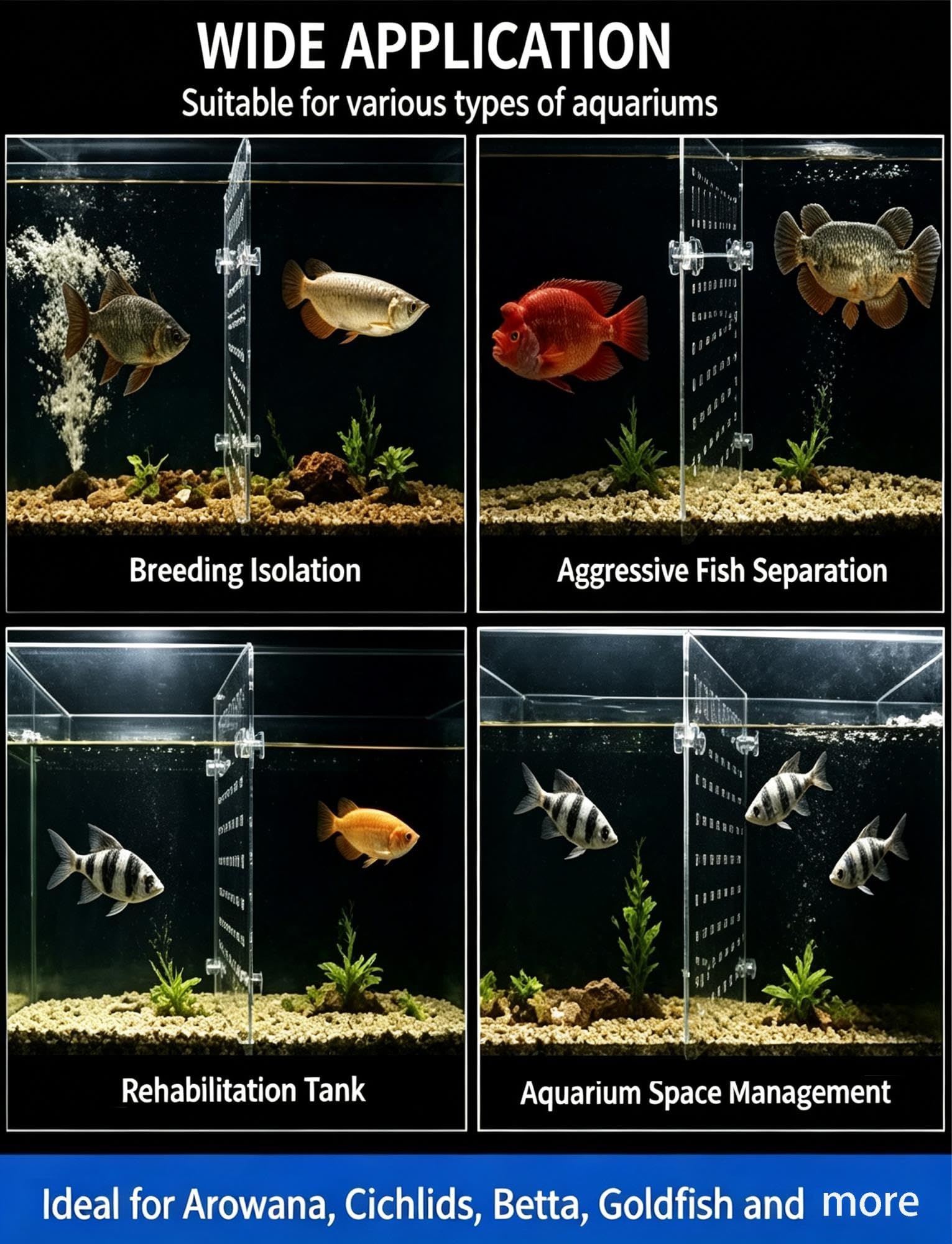 Divisorio per acquario in acrilico 5 mm, trasparente, 28–70 cm