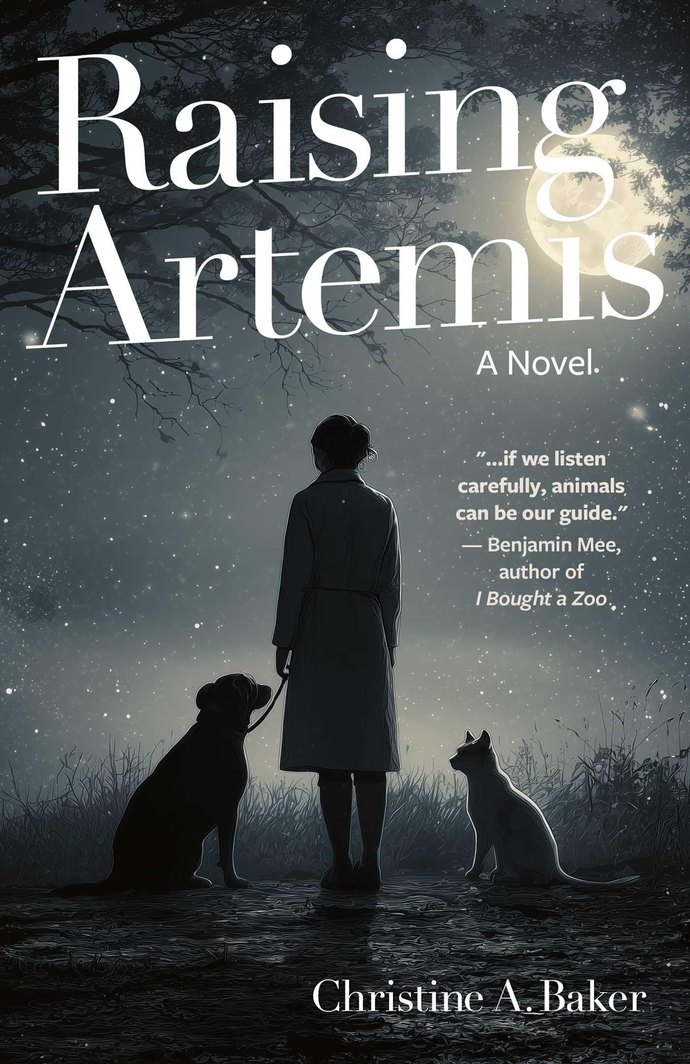 Raising Artemis: A Novel