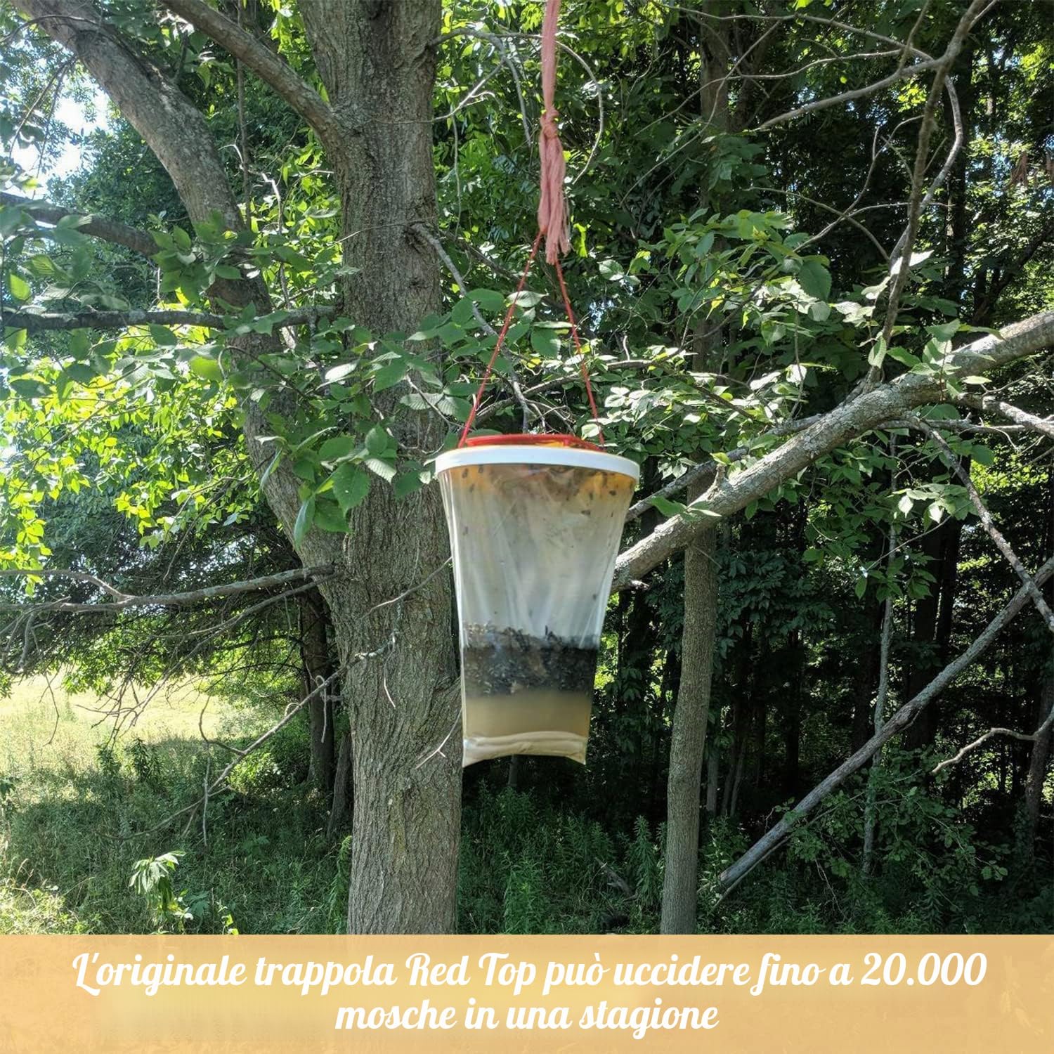 3 Pezzi Trappola per Antimosche da Interno Esterno, Trappole per Cattura Mosche con per Alimenti, Trappola per Zanzare per Cucin, Giardino, Casa