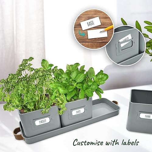 Miniatura 5 de volila Herb Planter Indoor - Set of 3 Grey Indoor Herb Garden Pots for Plants with Leather Handled Tray - Window Sill Plant Shelf - Herb Pots with