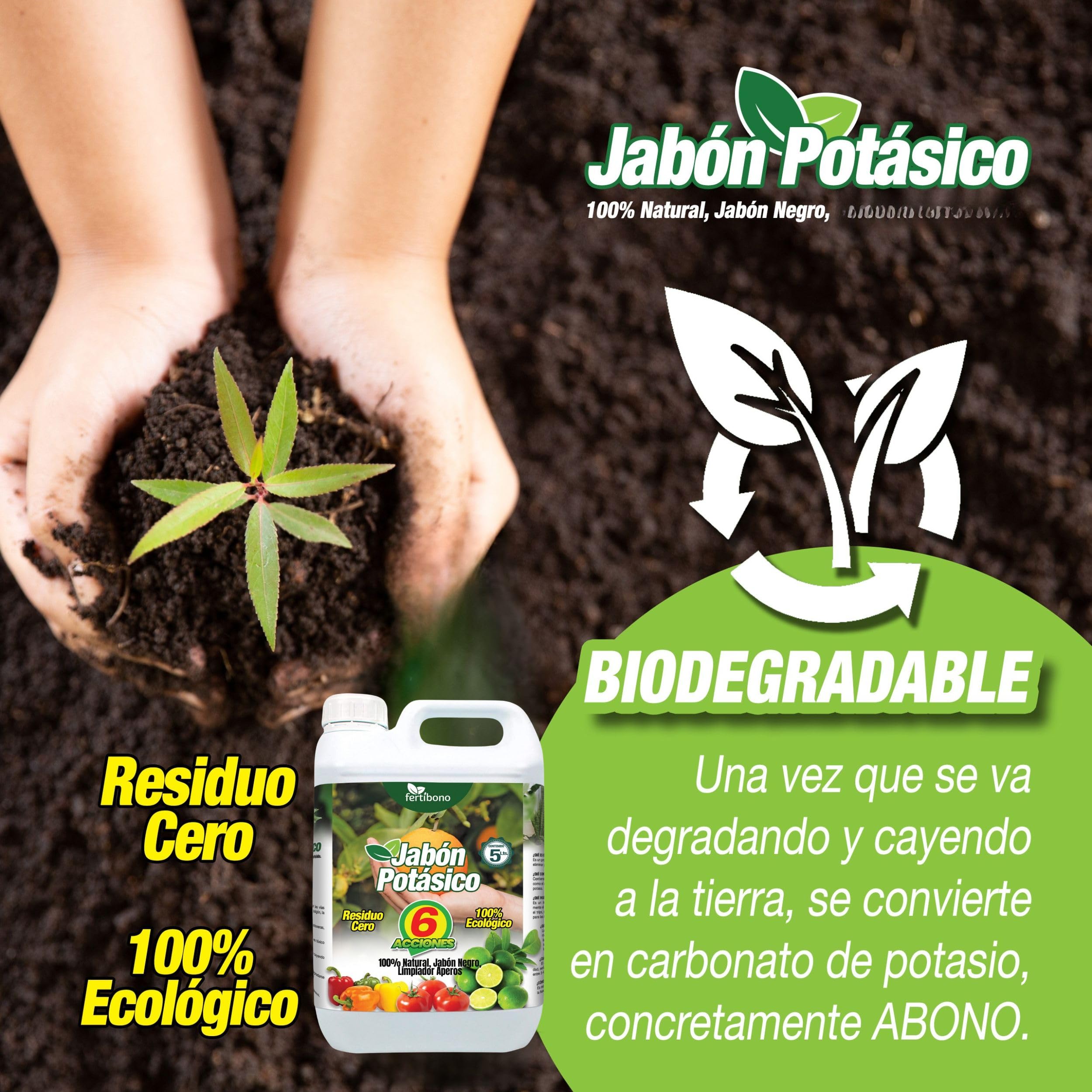 FERTIBONO Huile de Neem, extraite uniquement de graines - 100% pure et naturelle - Concentration et efficacité maximales pour les vergers, Zéro résidu (5)