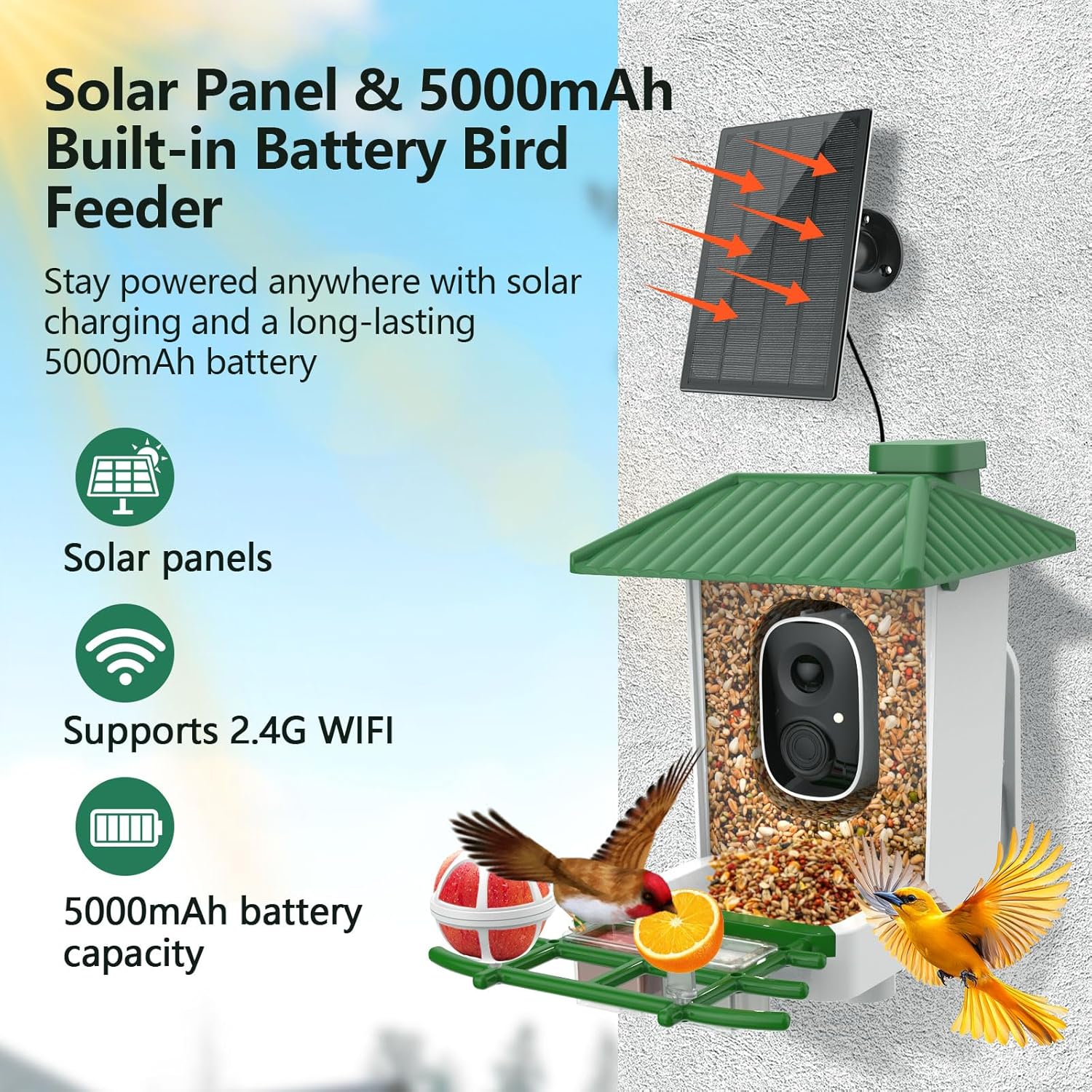 Smart Bird Feeder with Camera Solar Powered, 2K HD WiFi Live View Bird Feeders for Outdoors, AI Birds Recognition & Instant Alerts,Weatherproof Design – Best Gift for BirdLovers & Garden Birdwatching - Image 5