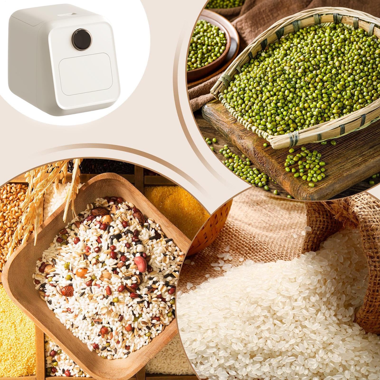 Contenitore per Conservazione Riso Dispensatore Grani Contenitori Dispensa | Barattoli Alimentari per Farina Zucchero Cereali Organizzazione Dispensa e Congelatore