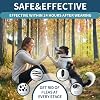 Collar antipulgas y garrapatas para perros 4 paquete, 32 meses de prevención, impermeable, ajustable para perros pequeños, medianos y grandes (Negro) Certificado ClimeCo 3