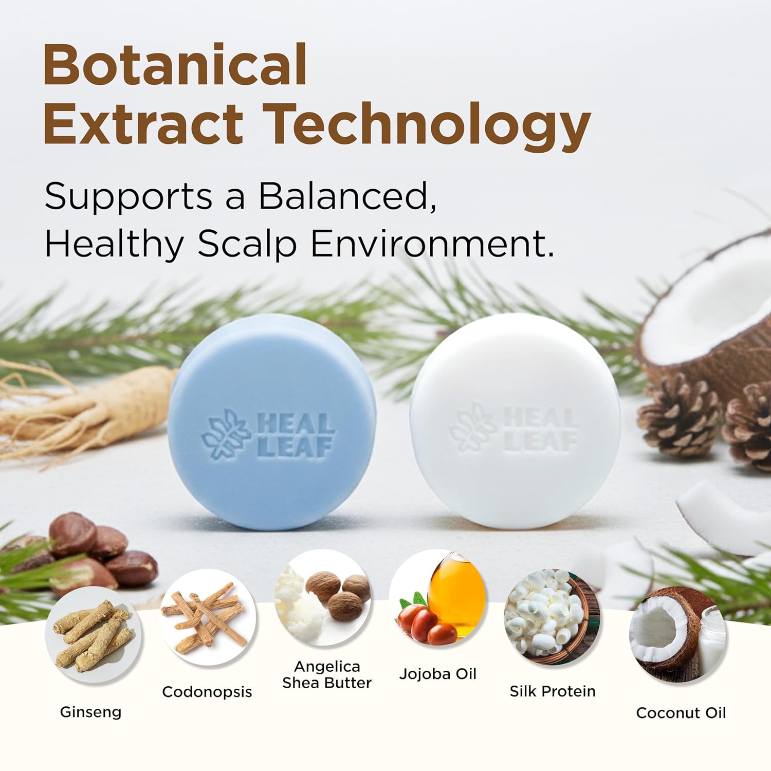 Solid Shampoo and Conditioner Bar Set – Botanical Hair & Scalp Care – Plant Extracts Complex, Natural pH – Eco-Friendly Travel Essential Wash & Care Set For All Hair Types