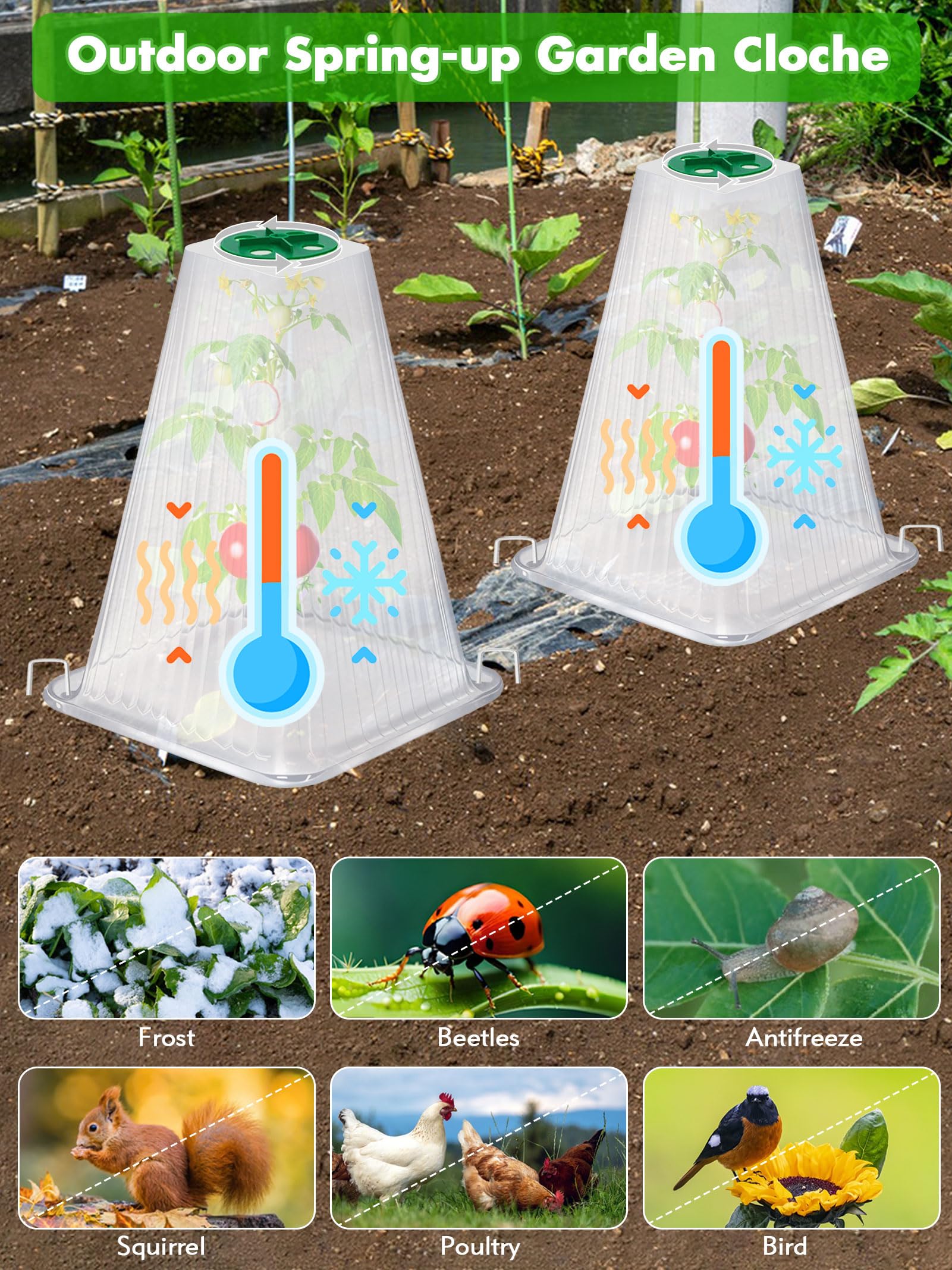 Lot de 20 Cloches de Jardin réutilisables pour Plantes, 23,9 x 19,8 cm (H x P) avec 40 piquets de Sol et Housse d'aération rotative, couvertures de Plantes Protection Contre Le Gel Contre Les Animaux