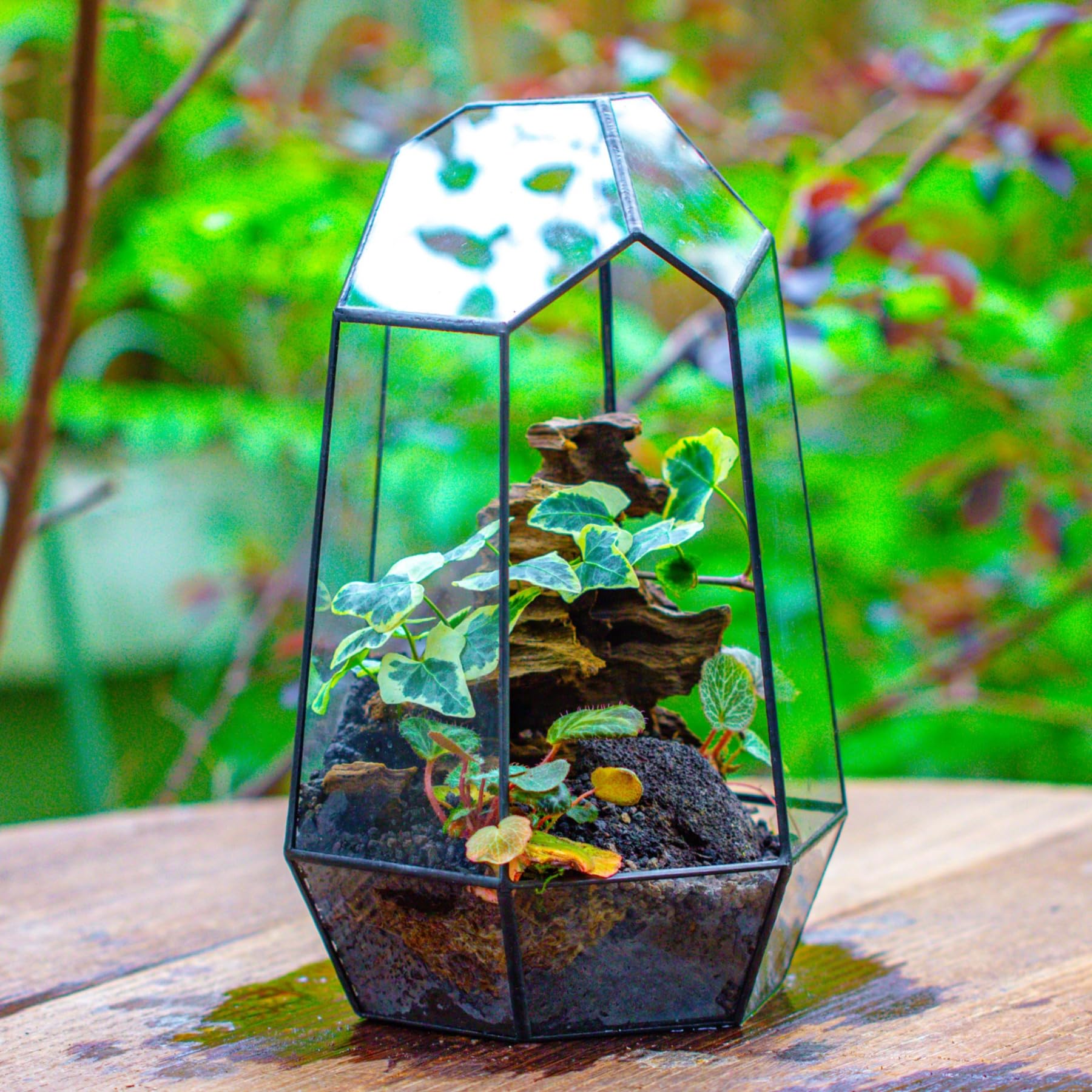 NCYP 16,5x16,5x25cm Glas Geometrisches Terrarium Keine Tür, unregelmäßiges Prisma,25 cm hoch Blumentopf für Sukkulenten, Farn (Ohne Pflanzen)