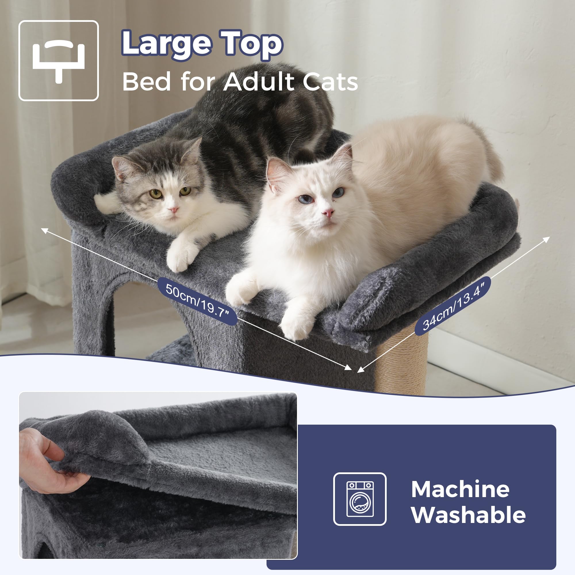 Go to store page for "New Release". - image 3