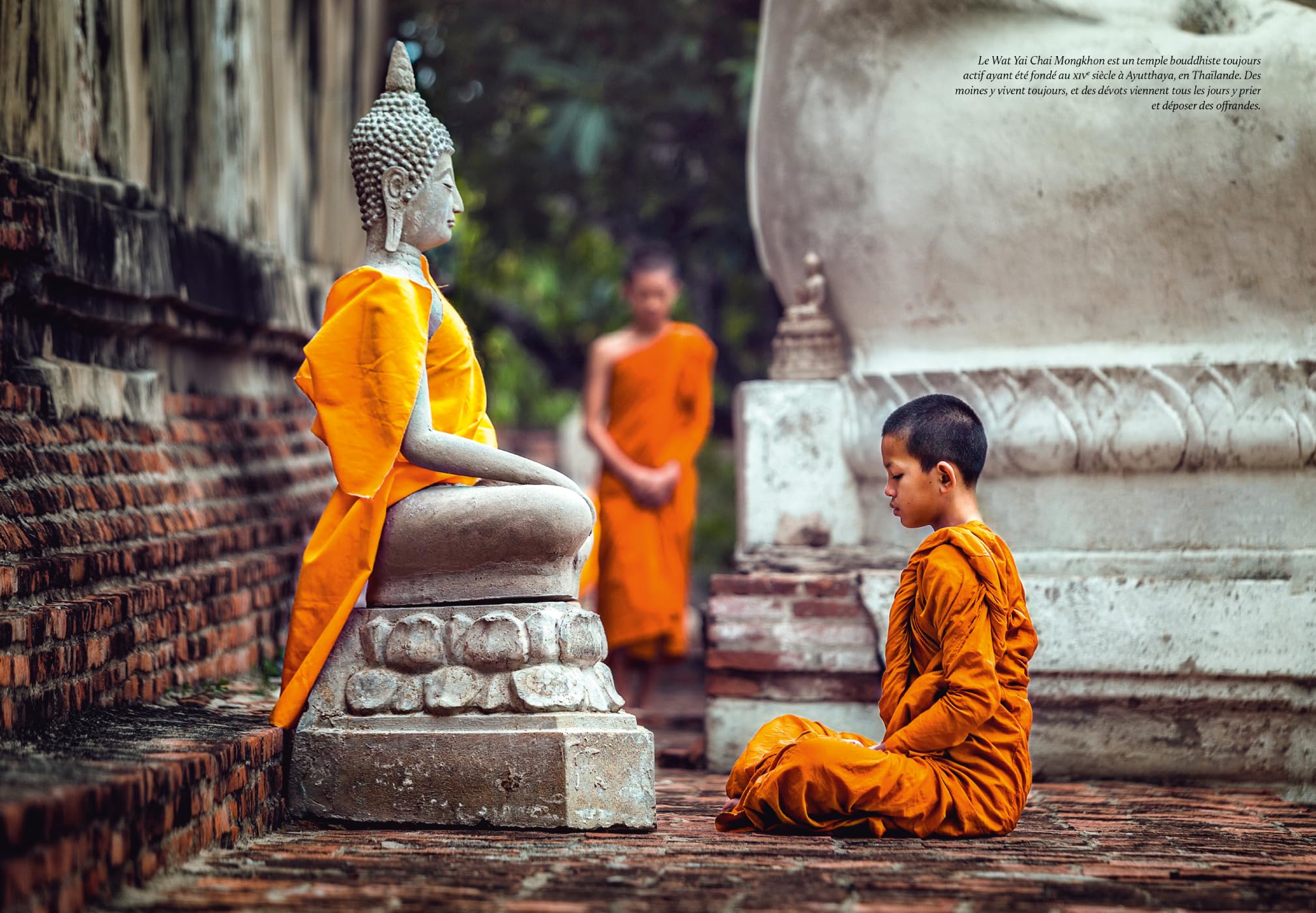Yoga: 2 500 ans d'histoire