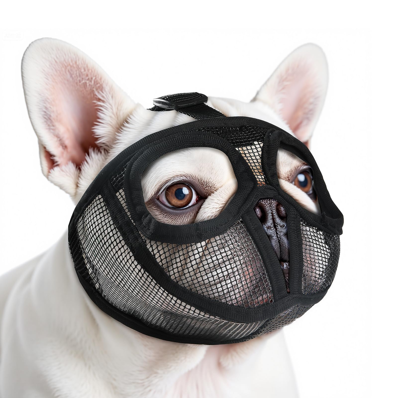 Photo 1 of Herrypiggy French Bulldog Muzzle (M, Black)
